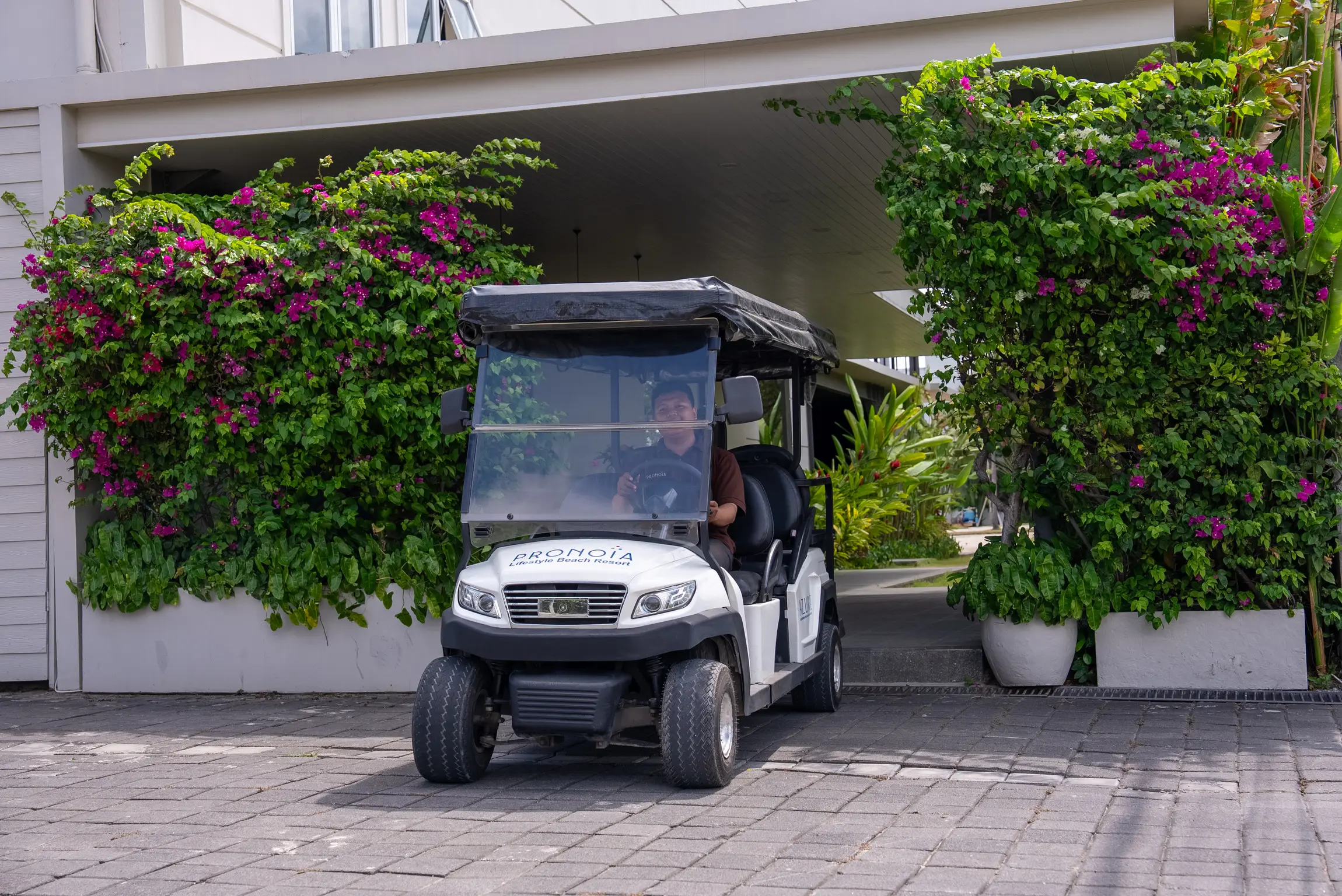 Pronoia estate buggy on the landscaped driveway