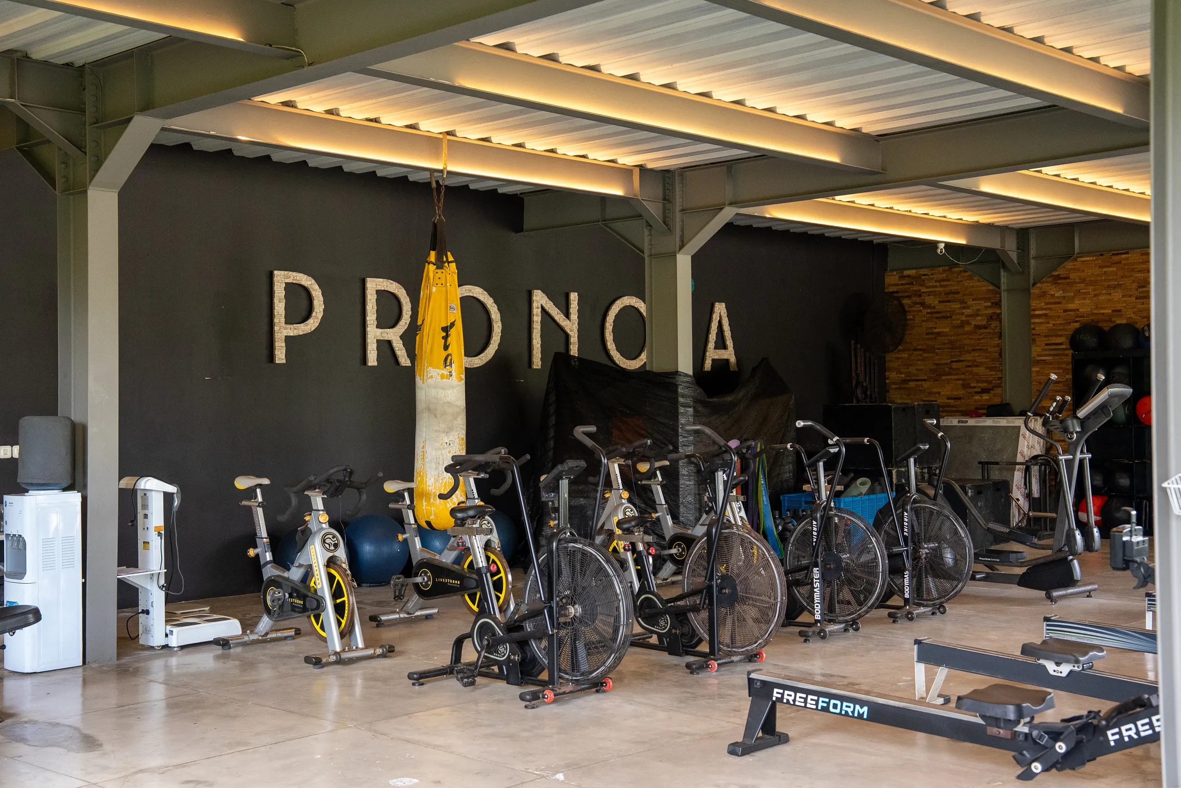 Strength and conditioning equipment in the Pronoia performance centre